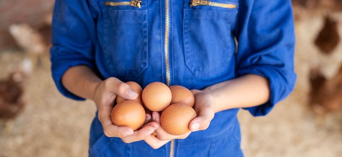 Bij AH weet je vanaf nu alles over je ei