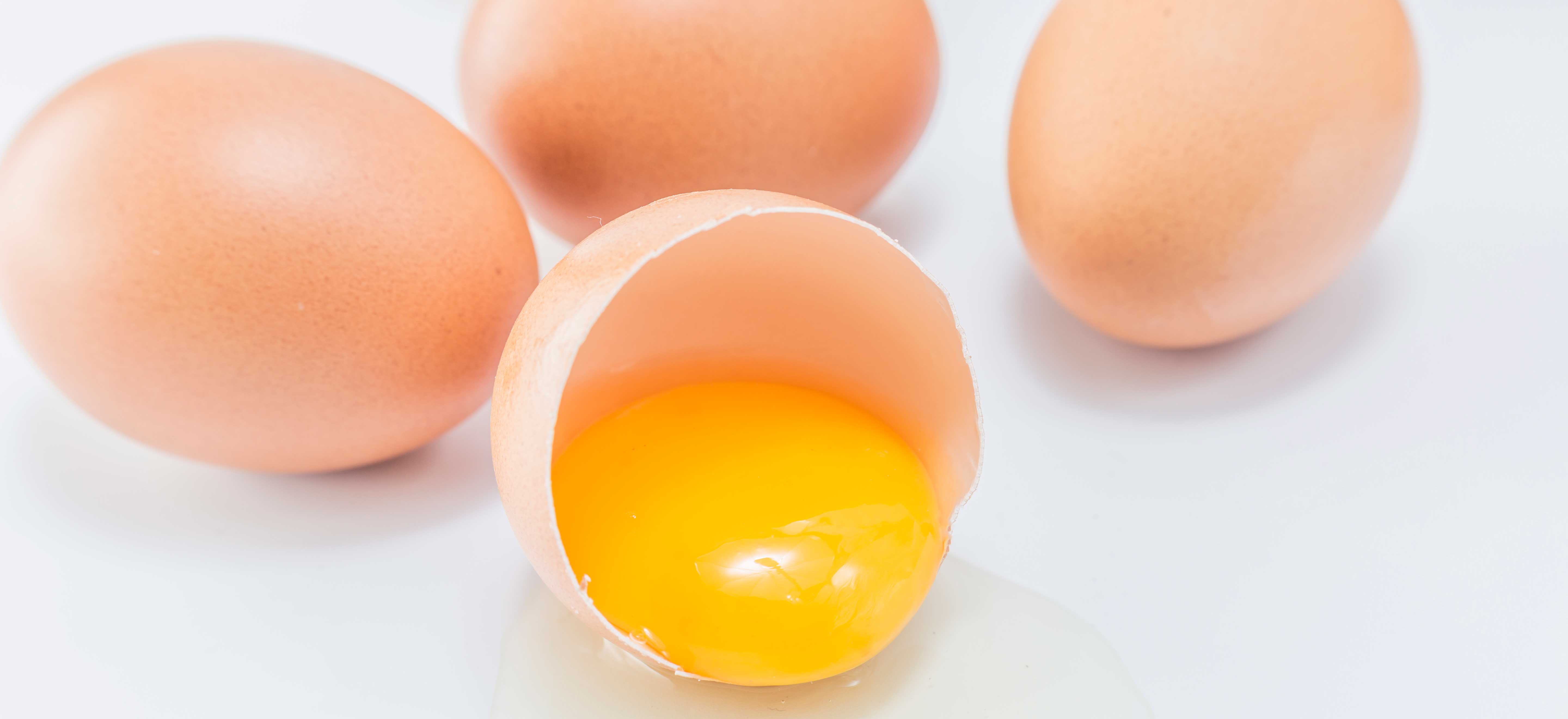 Kippenei-eiwit gemaakt dat niet afkomstig is van kip