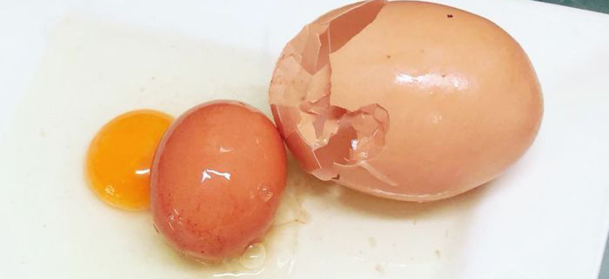 Enorm Matroesjka-ei trekt internationale aandacht