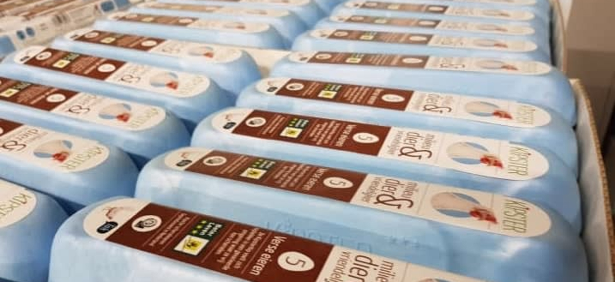 Kipster wint internationale prijzen voor dierenwelzijn