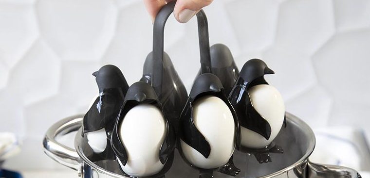 De egguin: musthave voor iedere pinguïnfan