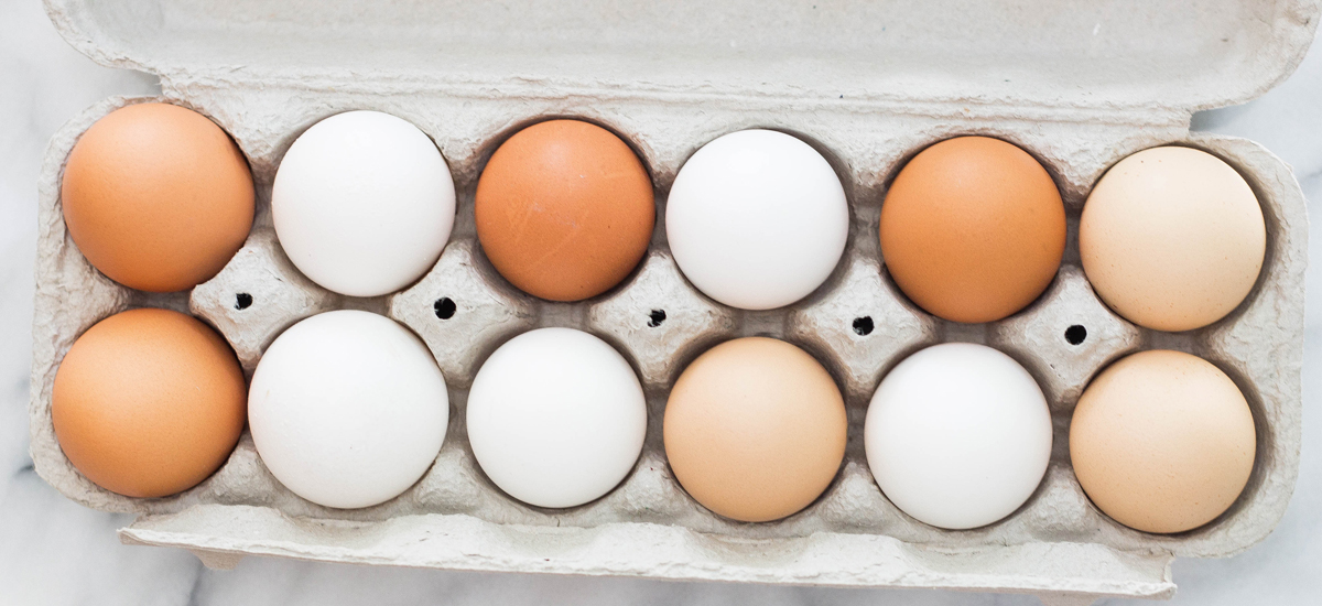 Bijdrage veld Verwisselbaar Wat is het verschil tussen bruine en witte eieren? (en wat doet dat met de  smaak?) | Eieiei
