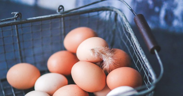 Biologische eieren best verkochte bioproduct
