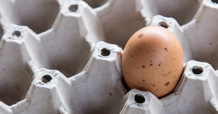 Diervriendelijker eieren in schappen Berlijnse supermarkten