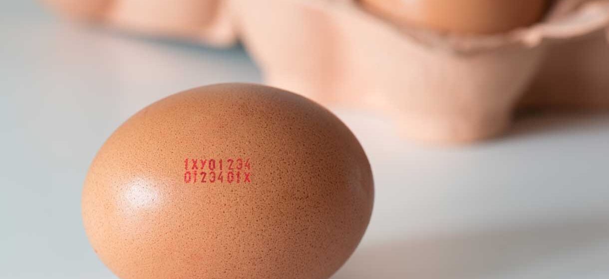 Is de inkt op een ei schadelijk?
