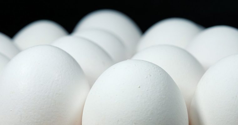 Gevolgen fipronil-crisis nog steeds voelbaar