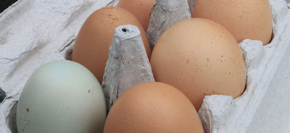 10 hardnekkige mythes over eieren (die je vanaf nu echt niet meer mag geloven)