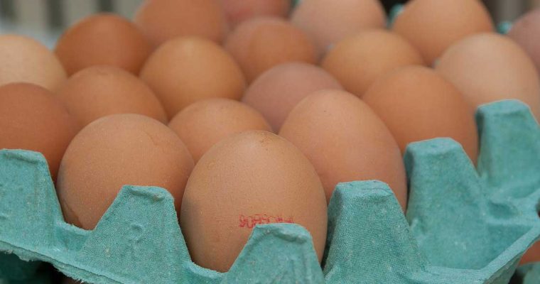 Australisch onderzoek: ’tot 12 eieren per week kan prima, óók bij diabetes’