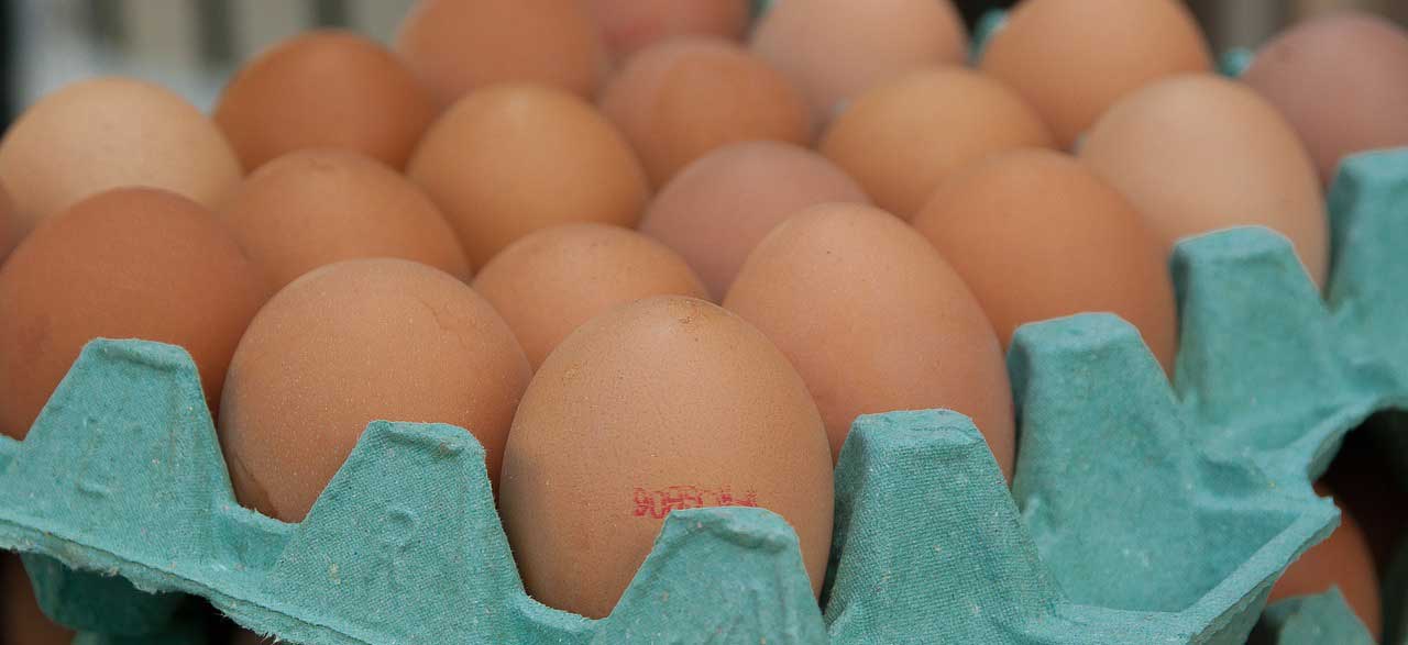 Australisch onderzoek: ’tot 12 eieren per week kan prima, óók bij diabetes’