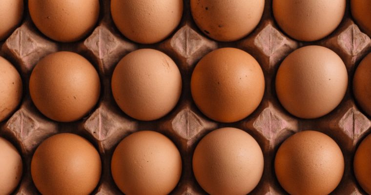 ‘Genetisch aangepaste kippen leggen medicinale eieren tegen kanker’