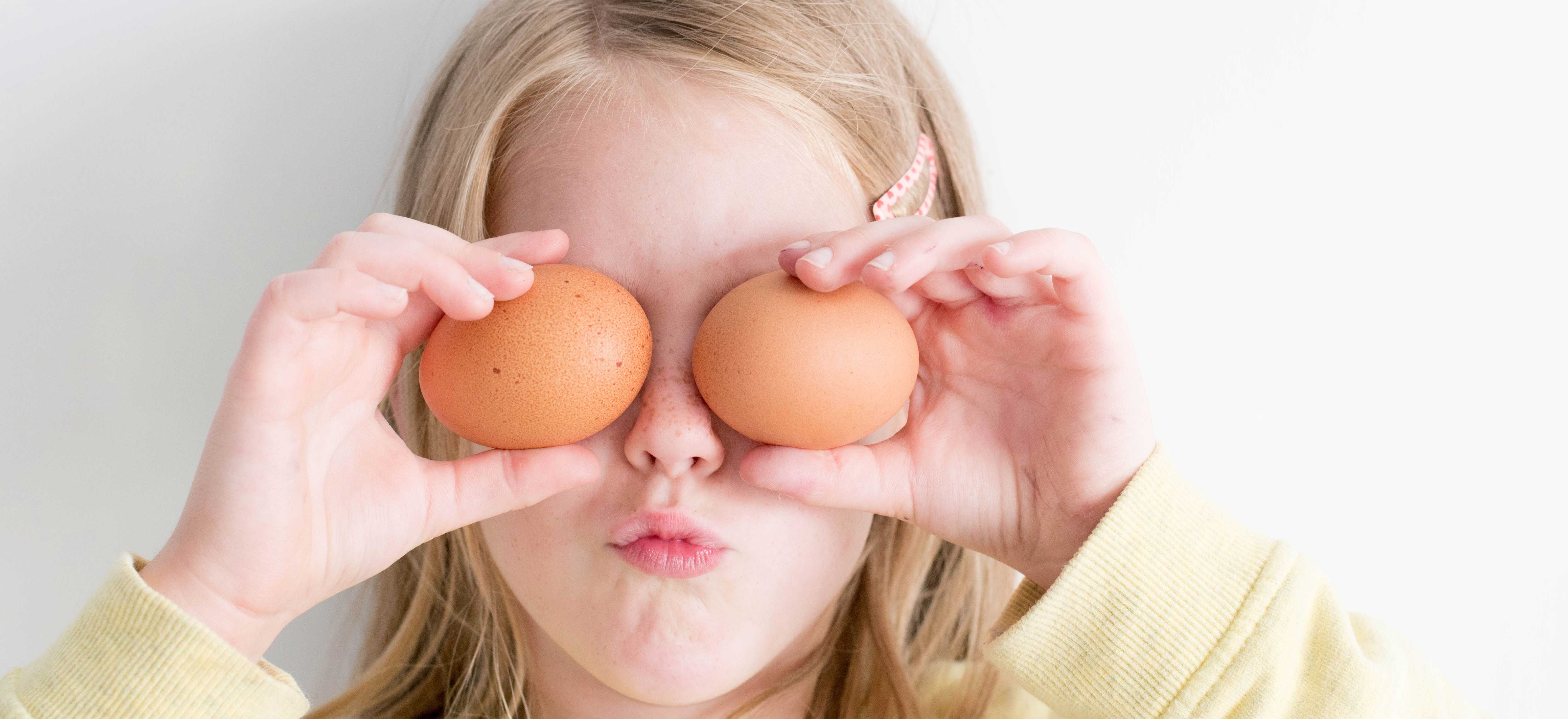 Kip en ei: 160 spreekwoorden op een rij