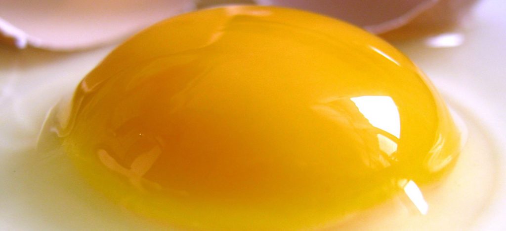 mythe eieren rauw