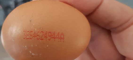 Veiligheidswaarschuwing voor salmonella-eieren uit Spanje