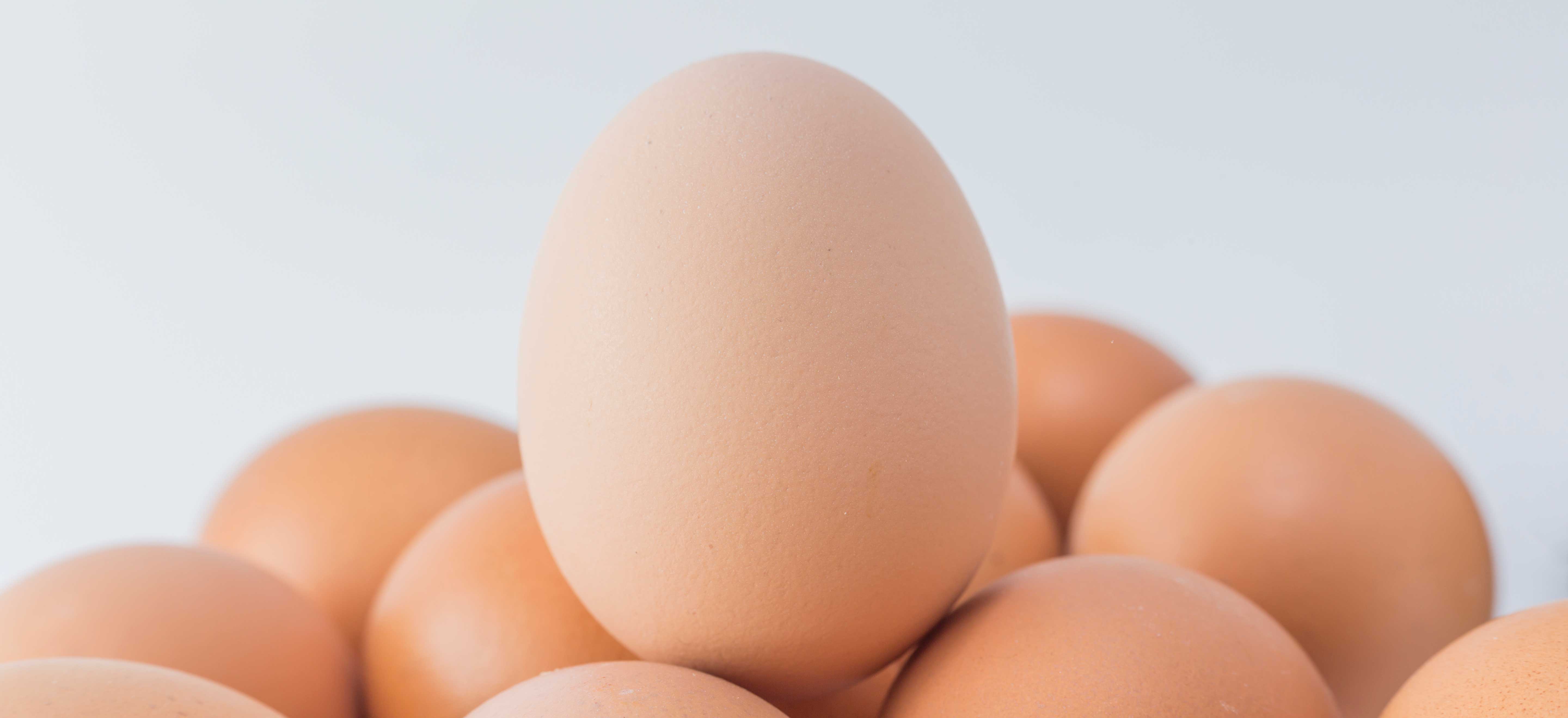 Test je kennis: weet jij alles over eieren?